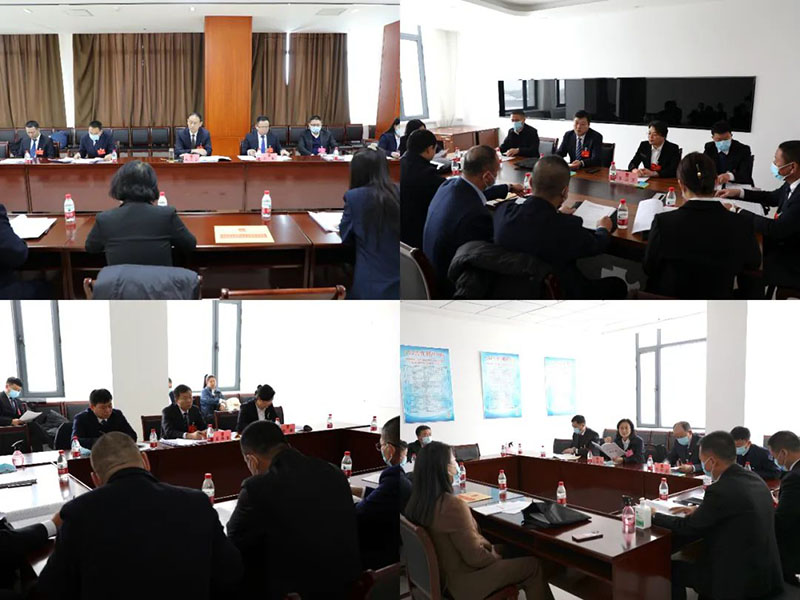 出席庆安县第十八届人民代表大会第三次会议的代表进行分组审议