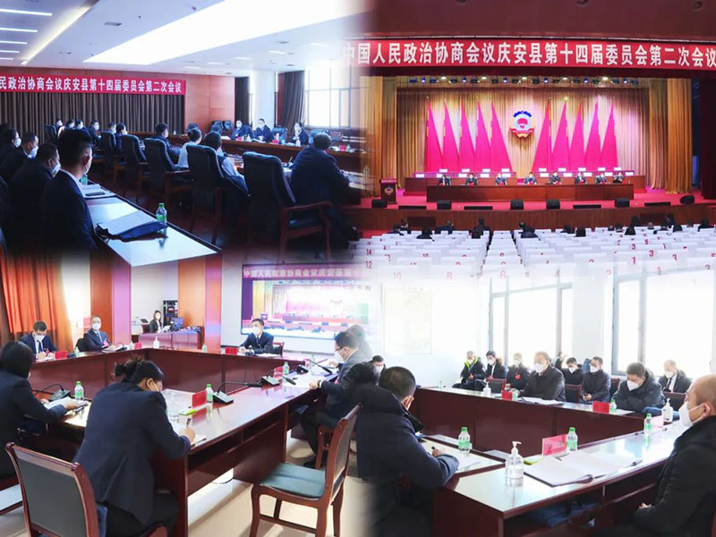 参加政协庆安县第十四届委员会第二次会议的政协委员进行分组讨论
