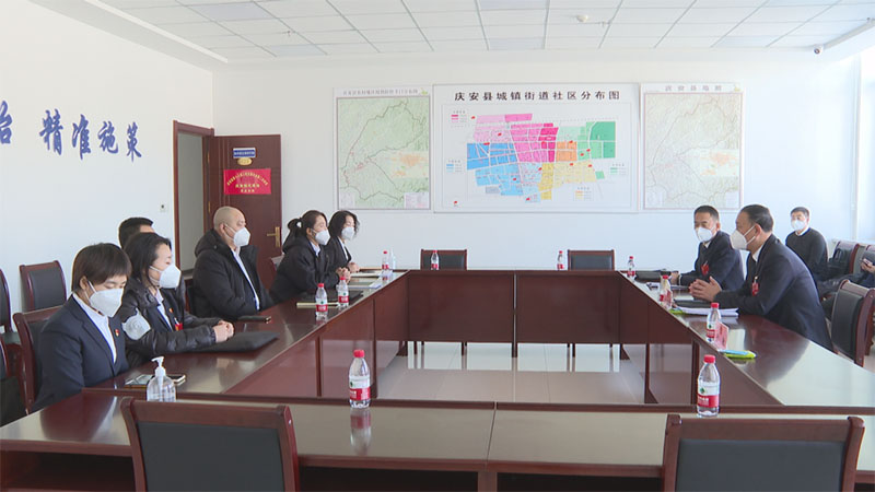 出席庆安县第十八届人民代表大会第二次会议的代表进行分组审议